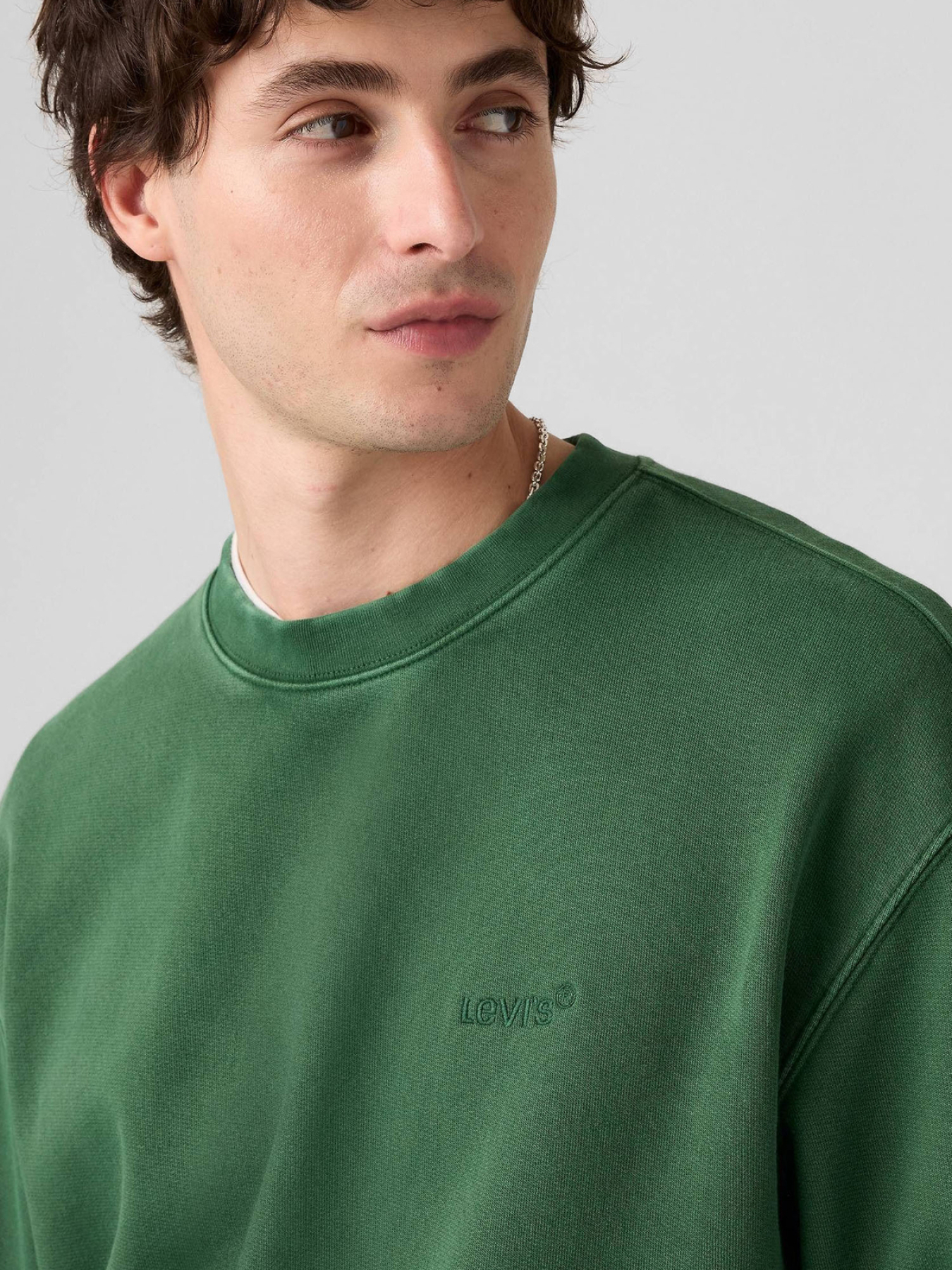 Мужской зеленый свитшот LEVIS модель A9244;0036 Фото