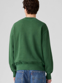 Мужской зеленый свитшот LEVIS модель A9244;0036 Фото