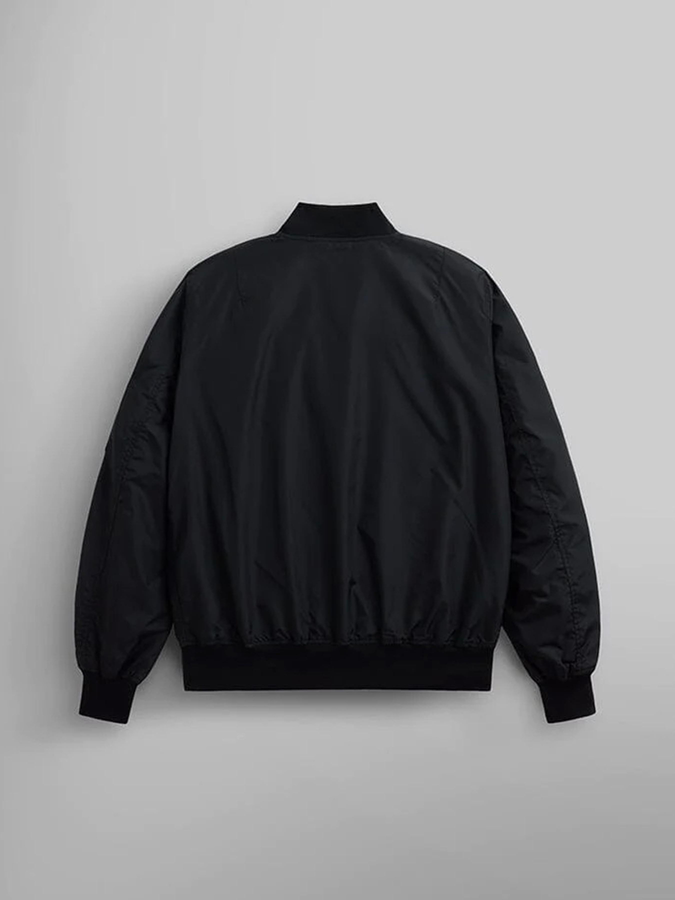 Бомбер Alpha Industries L-2b Skymaster Gen II модель MJL52000C1_001 Бомбер Alpha Industries L-2b Skymaster Gen II модель MJL52000C1_001 Фото