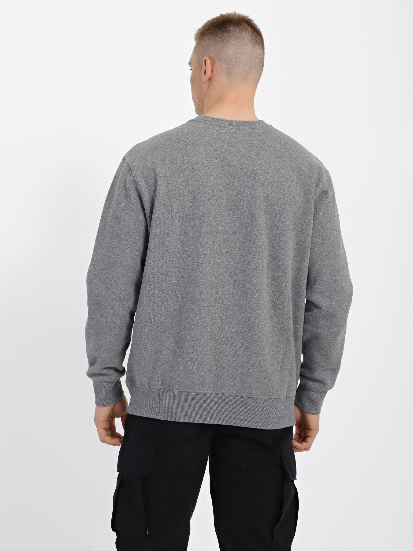 Свитшот Alpha Industries Essential модель USE51500C1_063 Фото