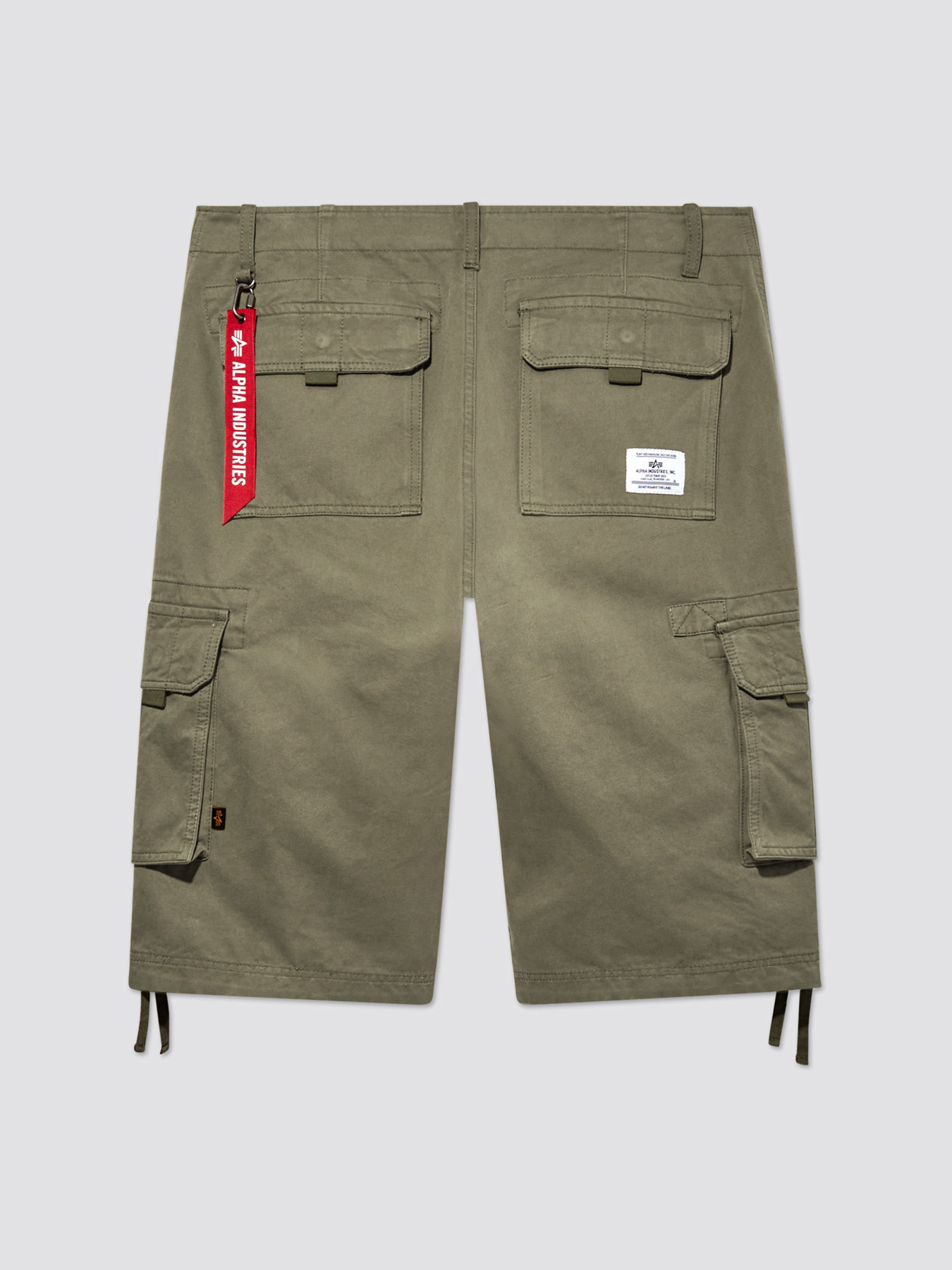 Шорты Alpha Industries Jet модель MBJ53000C1_359 Фото