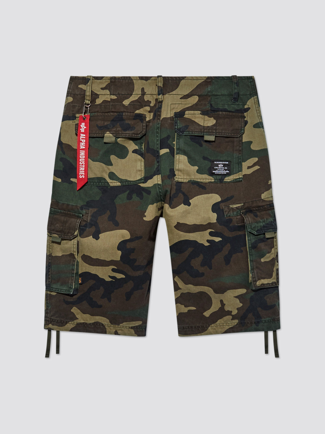 Шорты Alpha Industries Jet модель MBJ53000C1_961 Фото