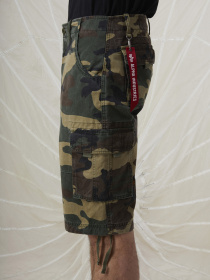 Шорты Alpha Industries Jet модель MBJ53000C1_961 Фото