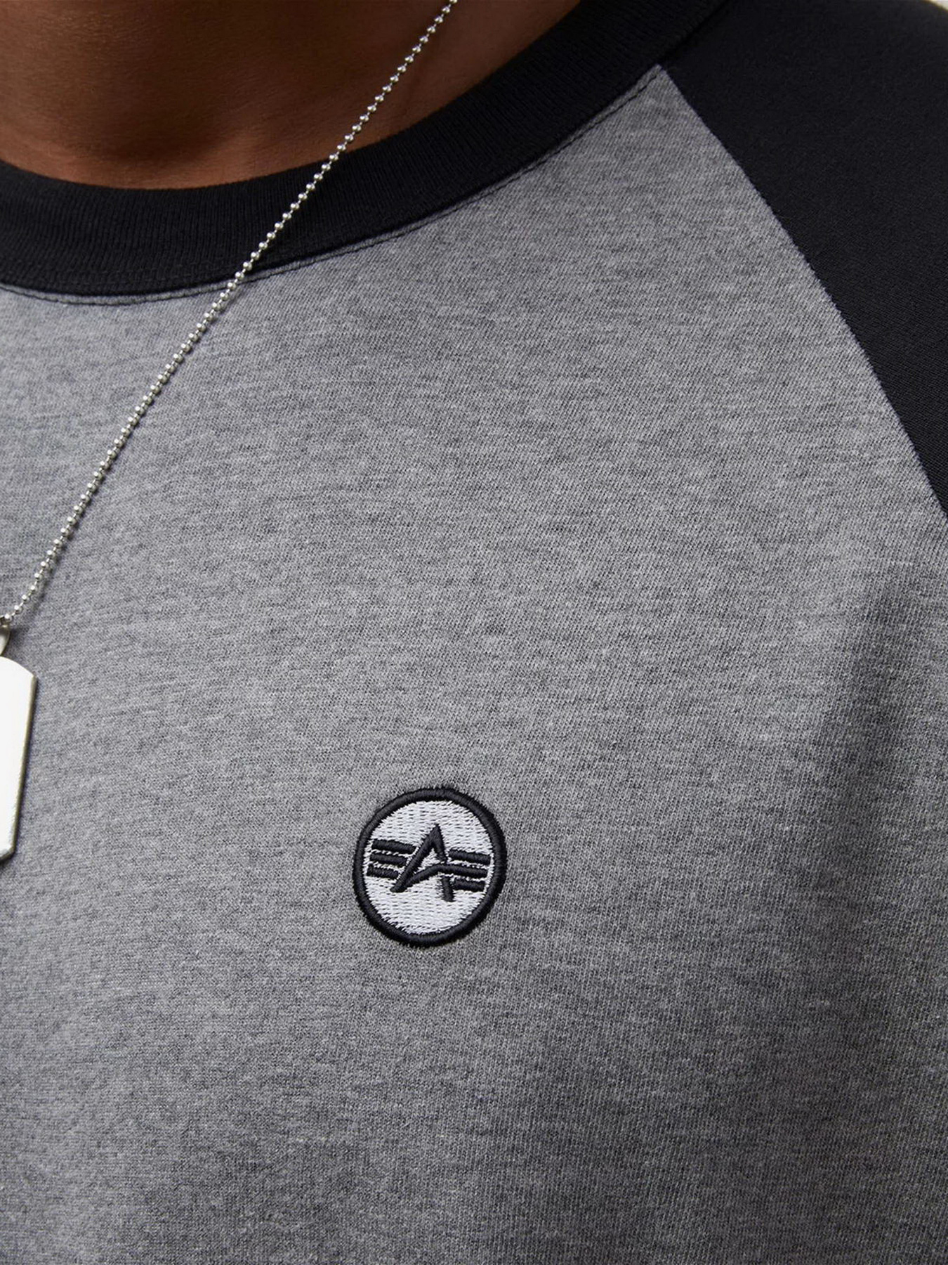 Футболка Alpha Industries Essential Raglan Tee модель MTE53000C1_063 Фото