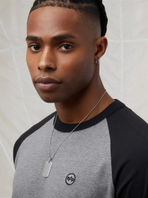 Футболка Alpha Industries Essential Raglan Tee модель MTE53000C1_063 Футболка Alpha Industries Essential Raglan Tee модель MTE53000C1_063 Фото