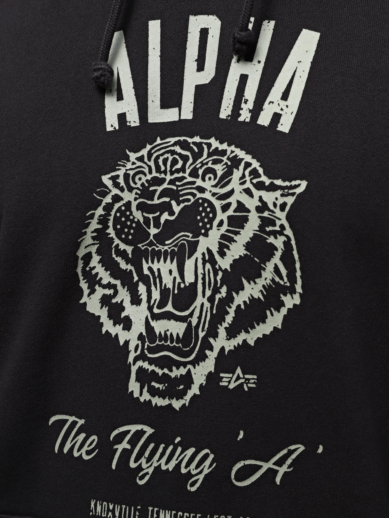 Худи Alpha Industries Alpha Tiger Hoodie модель USA54000PK_001 Фото