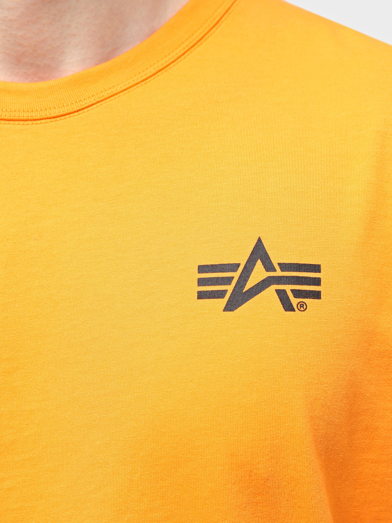 Футболка Alpha Industries Alpha Stencil Tee модель UTA54002PK_819 Фото