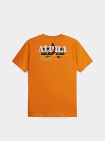 Футболка Alpha Industries Alpha Stencil Tee модель UTA54002PK_819 Фото