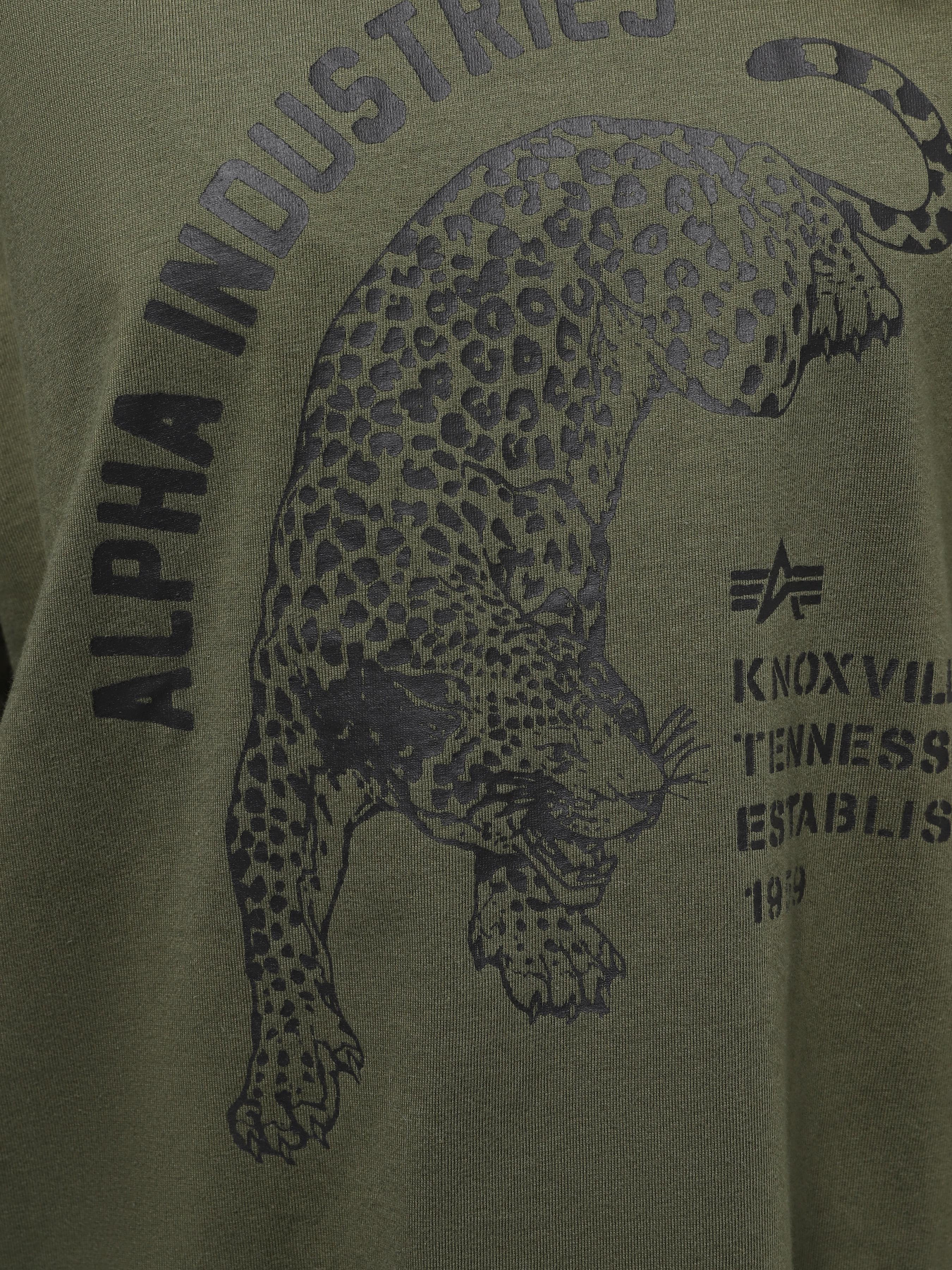 Футболка Alpha Industries Alpha Jaguar Tee модель UTA54004PK_303 Фото