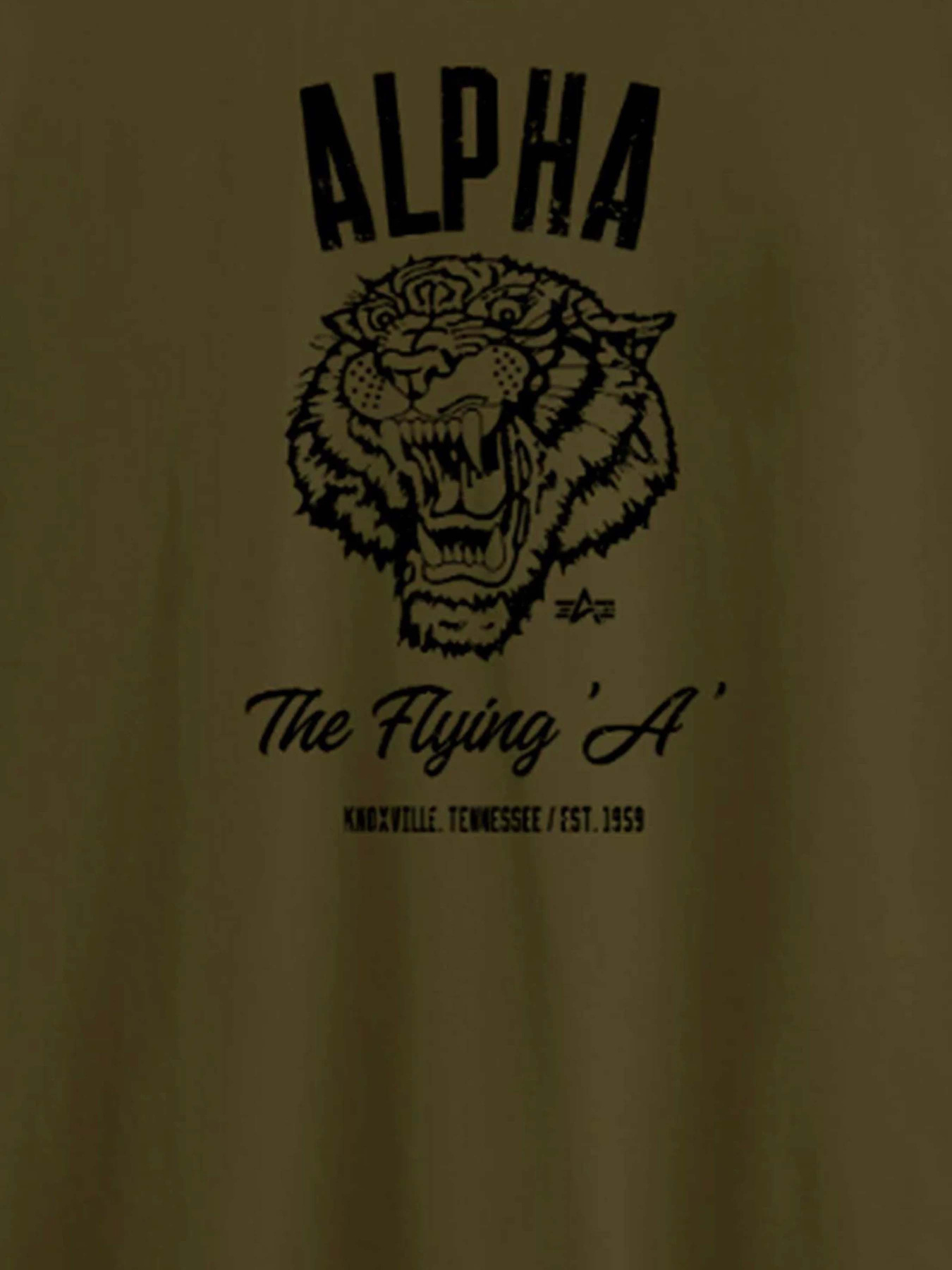 Футболка Alpha Industries Alpha Tiger Tee модель UTA54018PK_303 Фото