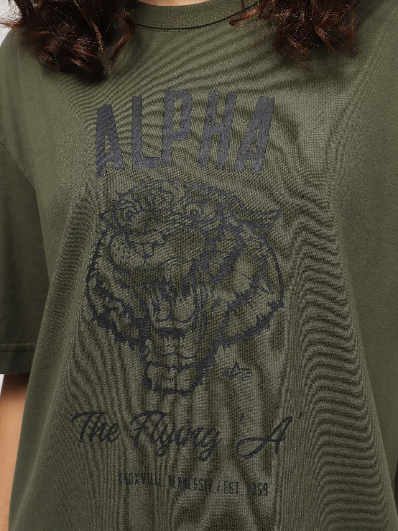 Футболка Alpha Industries Alpha Tiger Tee модель UTA54018PK_303 Фото