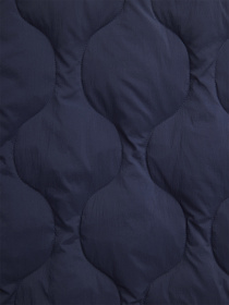 Демісезонна куртка Alpha Industries Lightweight Quilted Down модель MJL54501C1_410 Фото