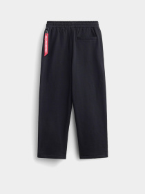 Штаны спортивные Alpha Industries Essential модель UBE54500C1_001 Фото