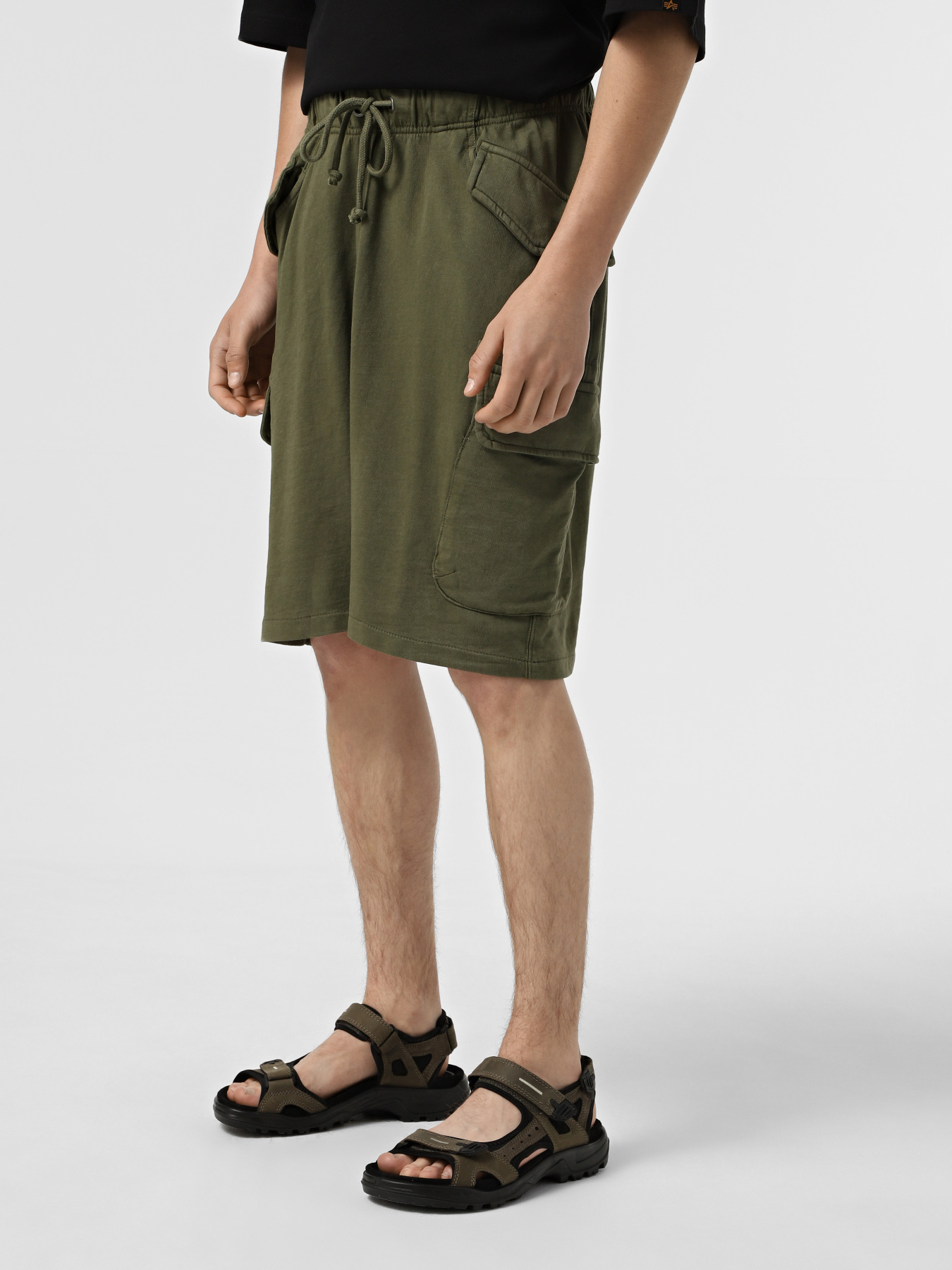 Шорты Alpha Industries Terry Dyed модель MBT55000C1_303 Фото