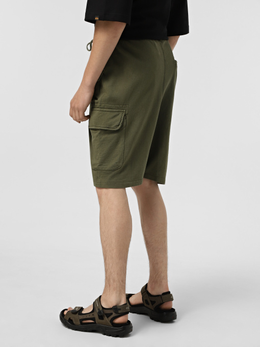 Шорты Alpha Industries Terry Dyed модель MBT55000C1_303 Фото