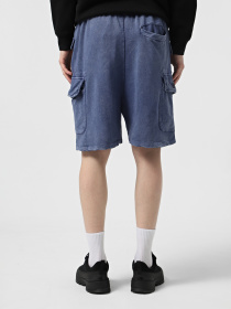 Шорты Alpha Industries Terry Dyed модель MBT55000C1_410 Фото