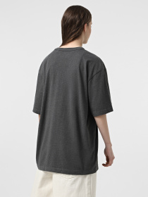 Футболка Alpha Industries Essential Relaxed модель UTE54000PK_068 Фото