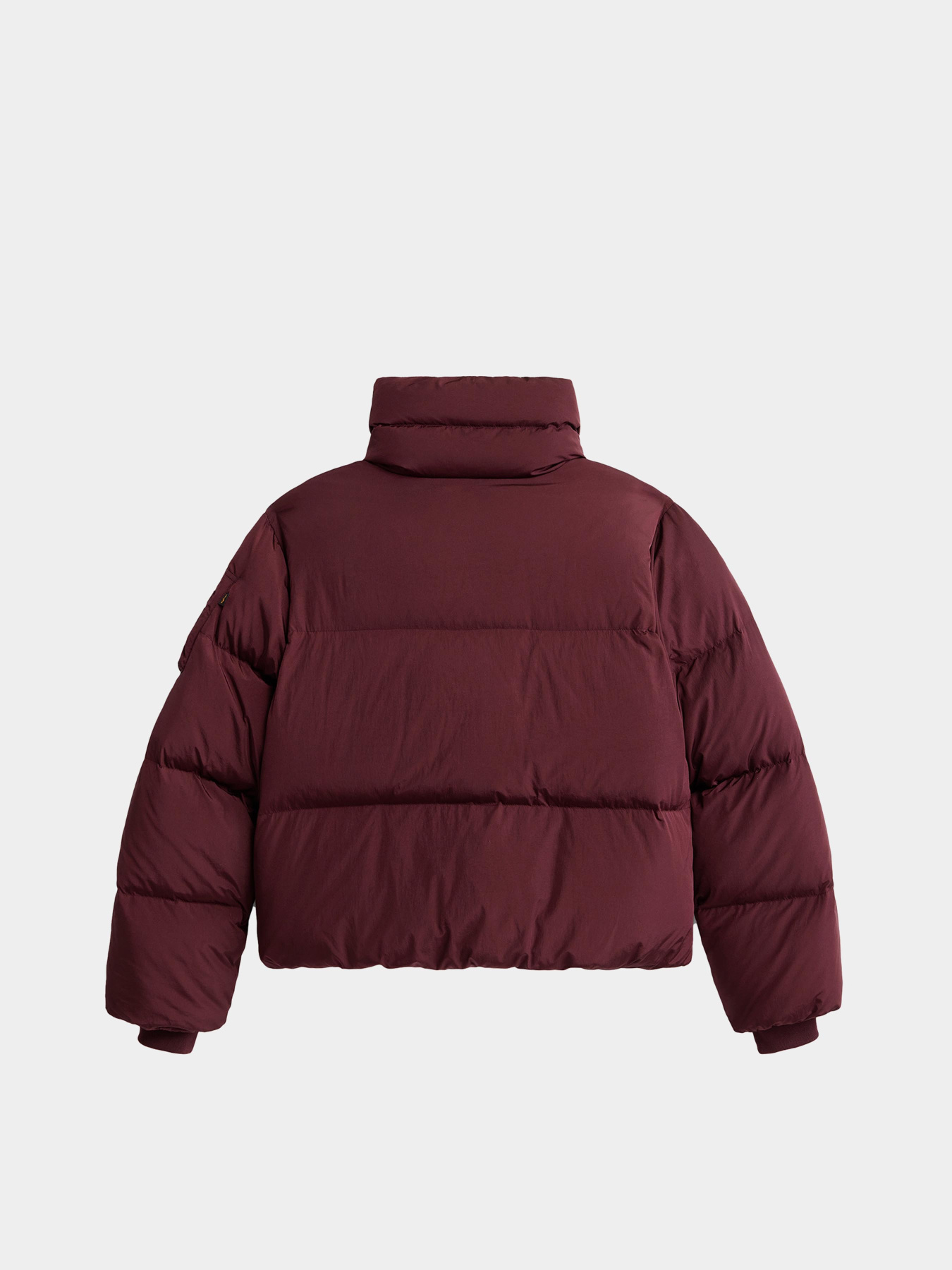 Пуховик Alpha Industries модель WJS55504C1_621 Фото