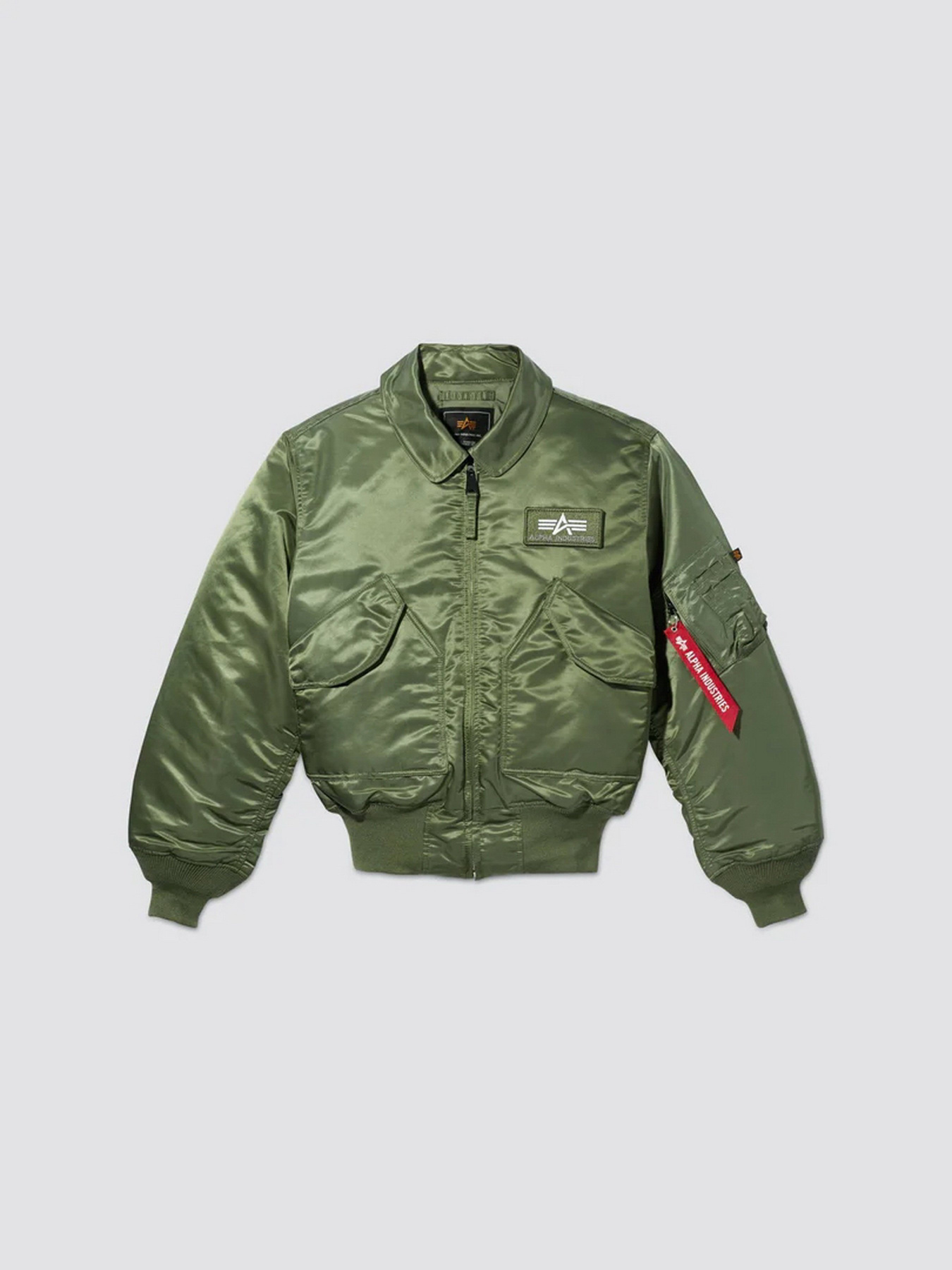 Бомбер Alpha Industries CWU 45/P Flight Jacket модель MJC22000C1_310 Фото