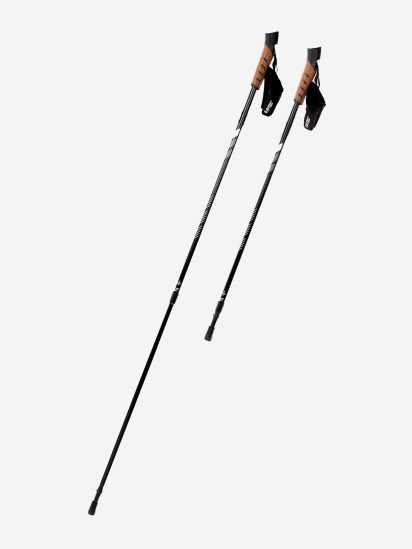 Палиці для ходьби Hitec Alpenstock модель ALPENSTOCKH19-BLACK/GREY — фото - INTERTOP