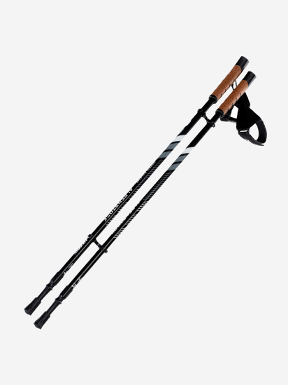 Палиці для ходьби Hitec Alpenstock модель ALPENSTOCKH19-BLACK/GREY — фото - INTERTOP