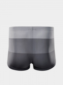 Плавки Aquawave модель STRIPE-GREY STRIPES Фото