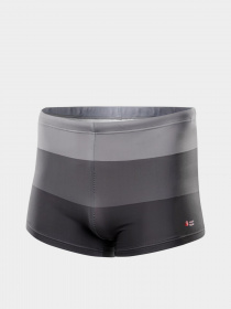 Плавки Aquawave модель STRIPE-GREY STRIPES Фото