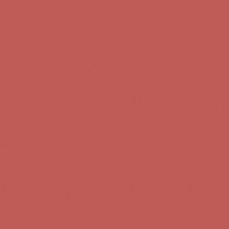 Блеск для губ матовый Cashmere Beyu модель 3342.172 Фото