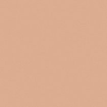 Корректор для лица X3 Mattifuing Foundation Stick Beyu модель 3869.14 Фото