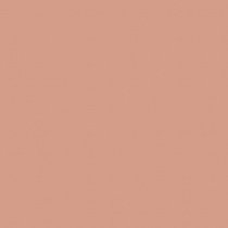 Блеск для губ матовый Cashmere Beyu модель 3342.99 Фото