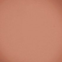 Компактные румяна Velvet Blush Beyu модель 373.09 Фото