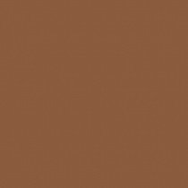 Компактные румяна Catwalk Beyu модель 374.17 Фото