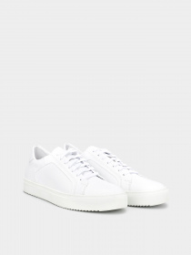 Кеды низкие Braska модель 91099-9 Фото