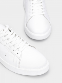 Кеды низкие Braska модель KT 2203.56.27 Фото