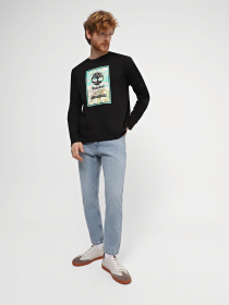 Кеды низкие Braska модель 33807 Фото