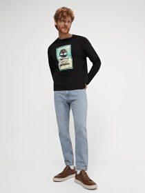 Кеды низкие Braska модель 288-8 Кеды низкие Braska модель 288-8 Фото