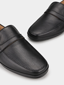 Braska модель 558-1 Фото