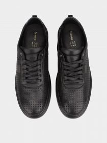 Кеды низкие Braska модель 1552-1 Фото