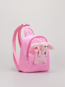 Рюкзаки Braska модель 43-3311/318 Фото