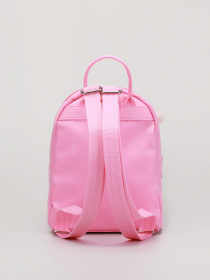 Рюкзаки Braska модель 43-3311/318 Фото