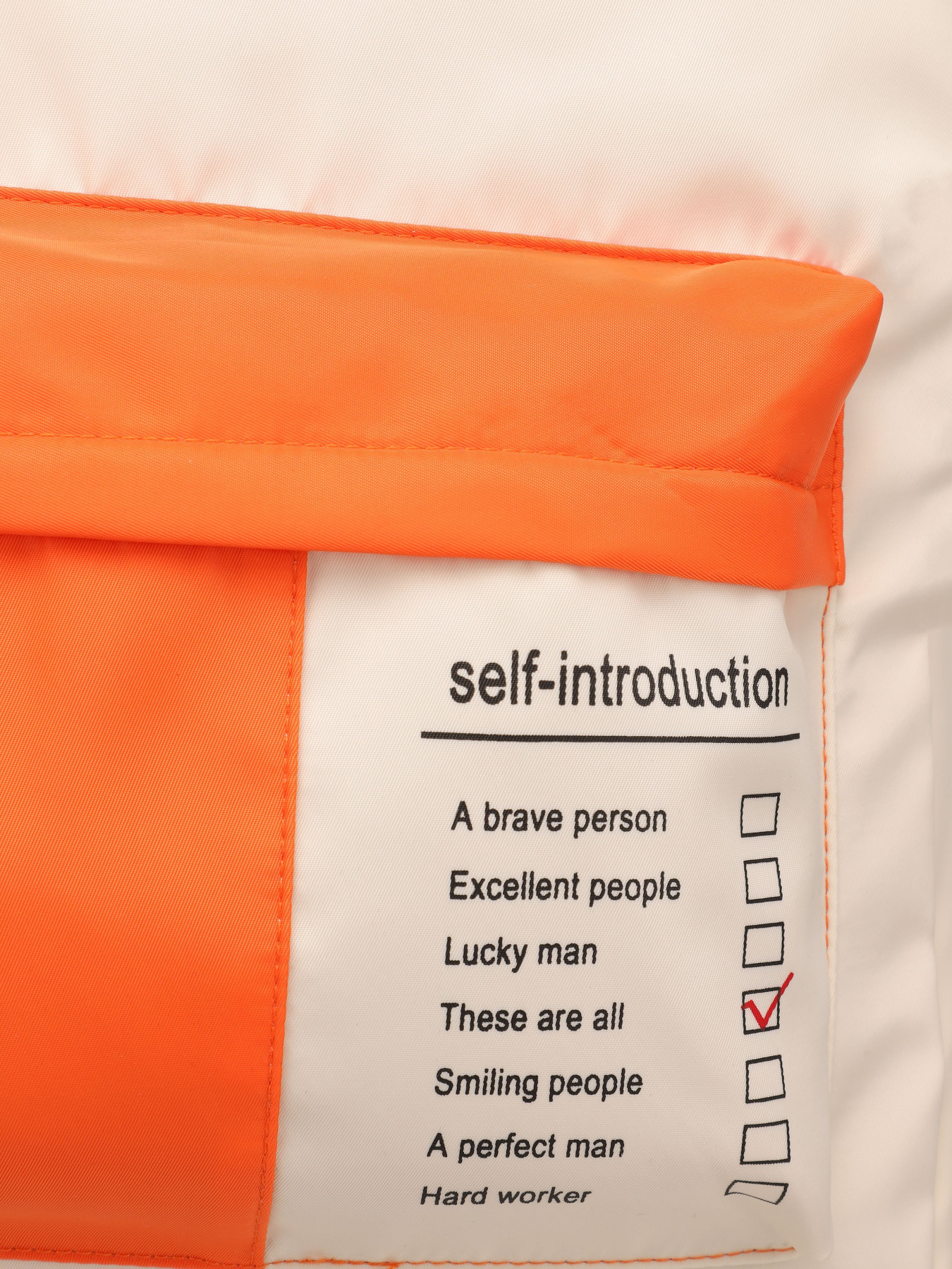 Рюкзаки Braska модель 41-6935/322 Фото