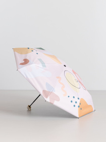 Зонт Braska модель 41-9210/304 Фото