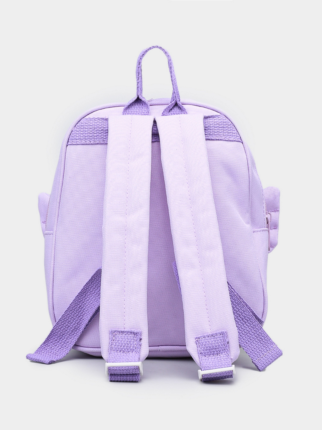 Рюкзаки Braska модель 53-0572/320 Рюкзаки Braska модель 53-0572/320 Фото