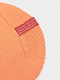 Шапка Braska модель 47024 Фото