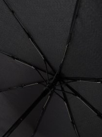 Зонт Braska модель 62-9099/301 Фото