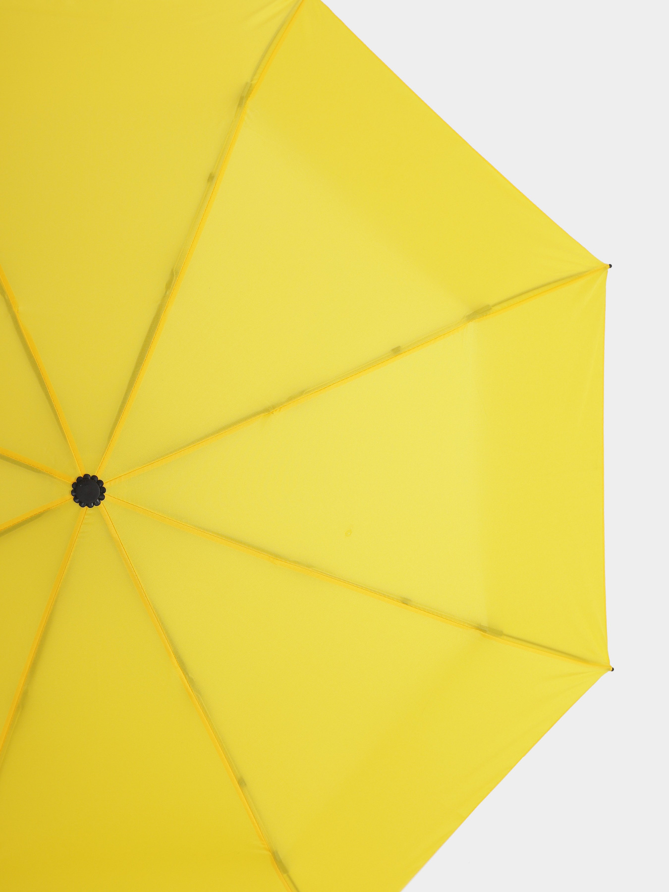 Зонт Braska модель 62-9093/318 Фото