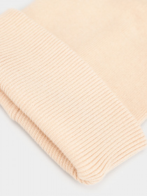 Шапка Braska модель 71-0960/404 Фото