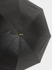 Зонт-трость Braska модель 84-9098/313 Фото