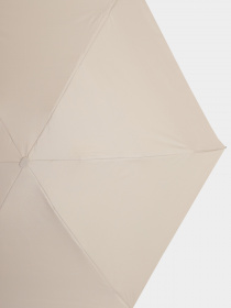 Зонт Braska модель 81-9105/304 Фото