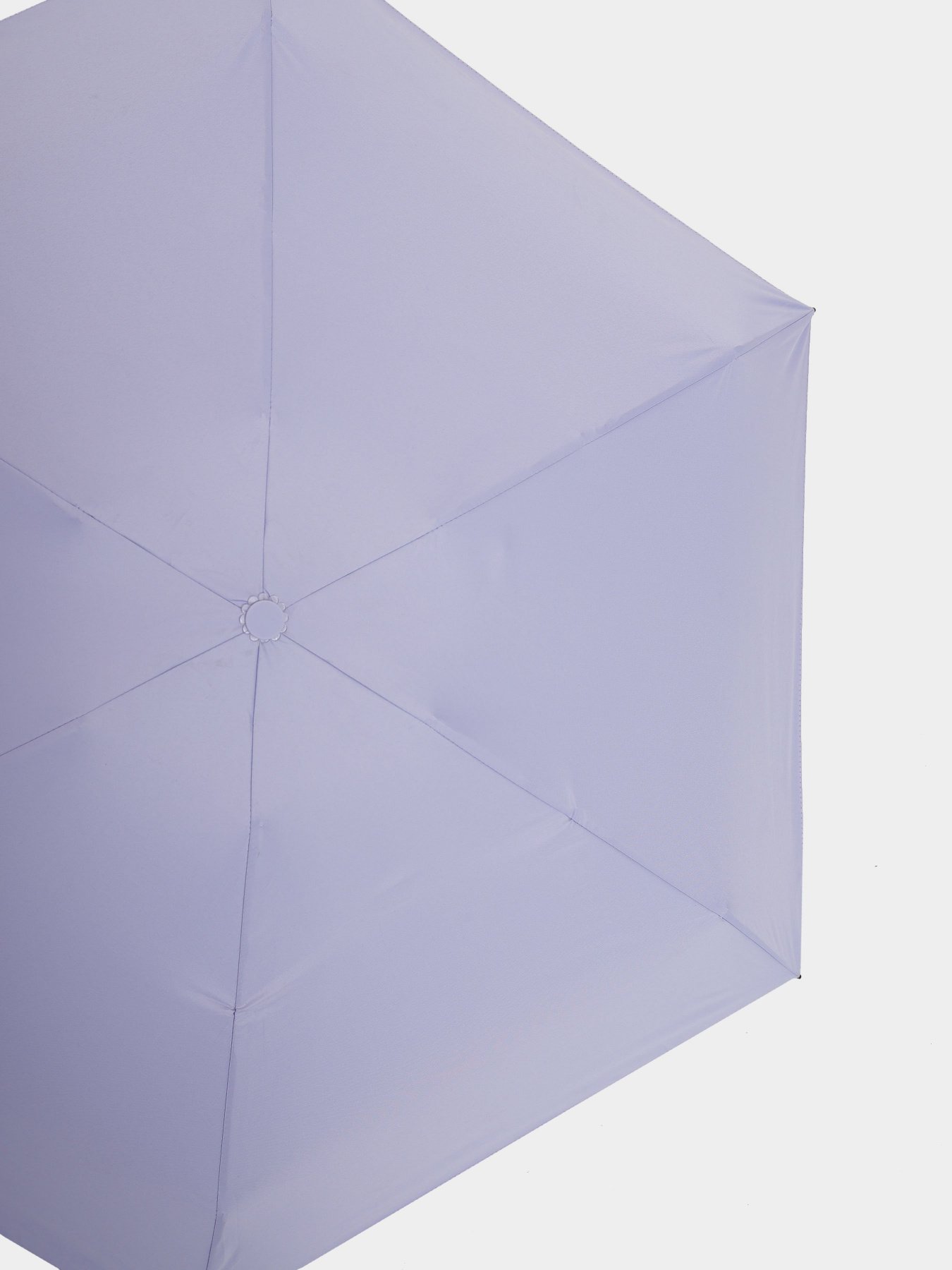 Зонт Braska модель 81-9101/308 Фото